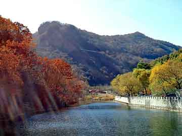 新澳天天开奖资料大全旅游团，夏利维修